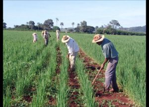 Governo da Paraíba realiza jornadas produtivas e fortalece agricultura familiar