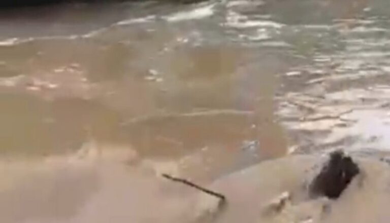 Chuva faz ponte desabar em Conceição e deixa comunidade ilhada