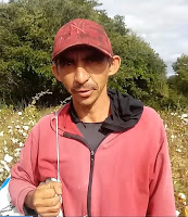 Agricultor de Santana dos Garrotes dribla a praga e volta a colher algodão