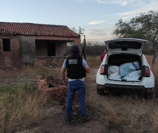 Homem é preso e 350 quilos de maconha apreendidos escondidos em sítio