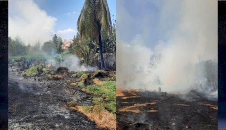 Voluntários se unem para apagar incêndio em Ibiara