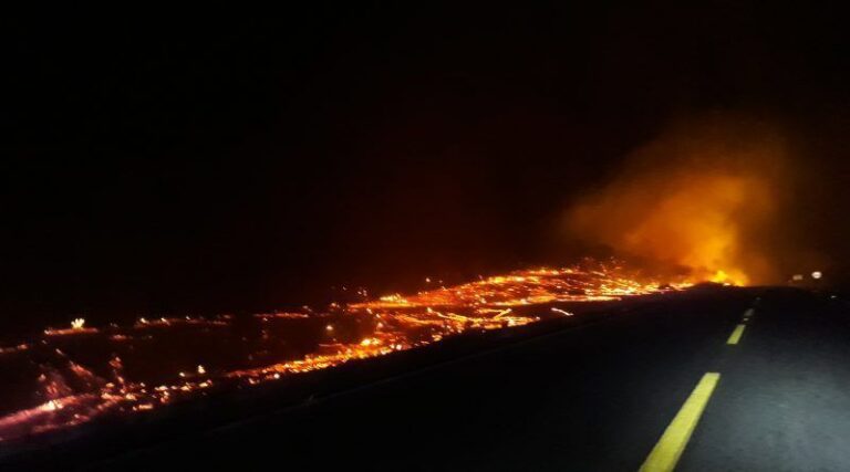 Incêndio devasta mata e leva perigo a agricultores de Catingueira