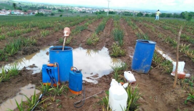 Pesquisadores detectam água contaminada por agrotóxico em Coremas
