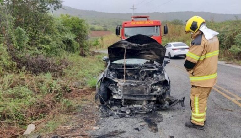 Carro pega fogo e mobiliza bombeiros em rodovia de Aguiar