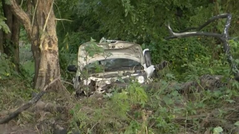 Vigilantes ficam feridos após carro sair da BR-230 e capotar
