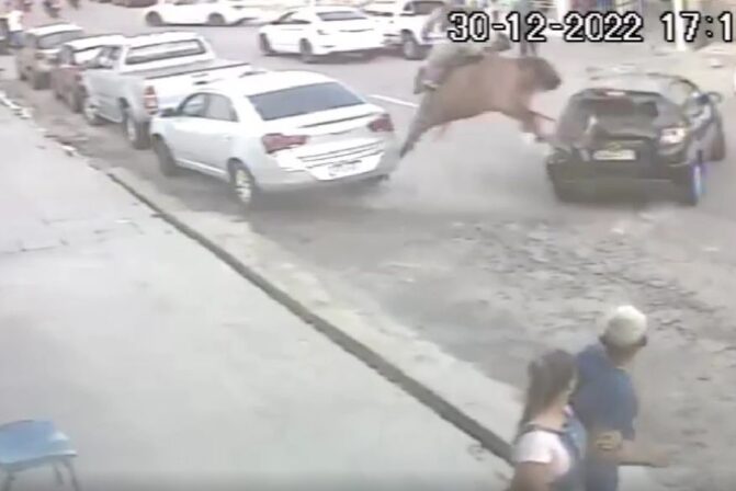 Vídeo: Policial Militar e cavalo são atingidos por carro durante ação policial