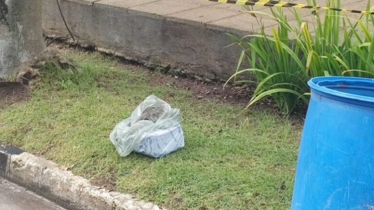 Feto é encontrado por catador de recicláveis dentro de caixa