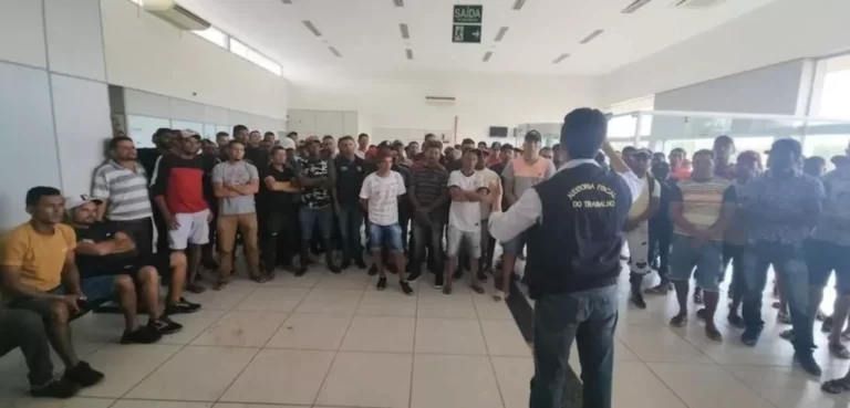 Maior operação do ano resgata 212 trabalhadores em condições análogas à escravidão em Goiás