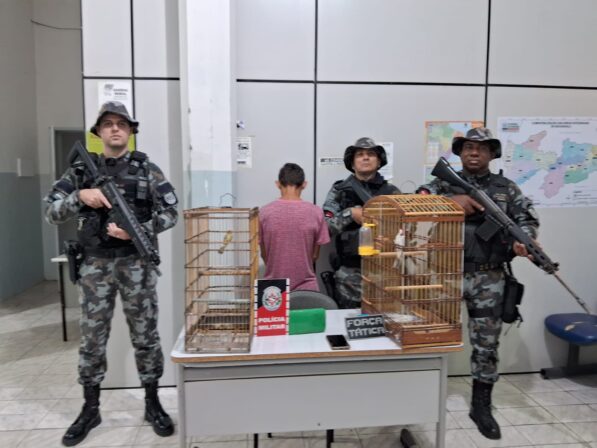 Em Coremas, Polícia Militar prende traficante, aprende drogas e pássaros silvestres