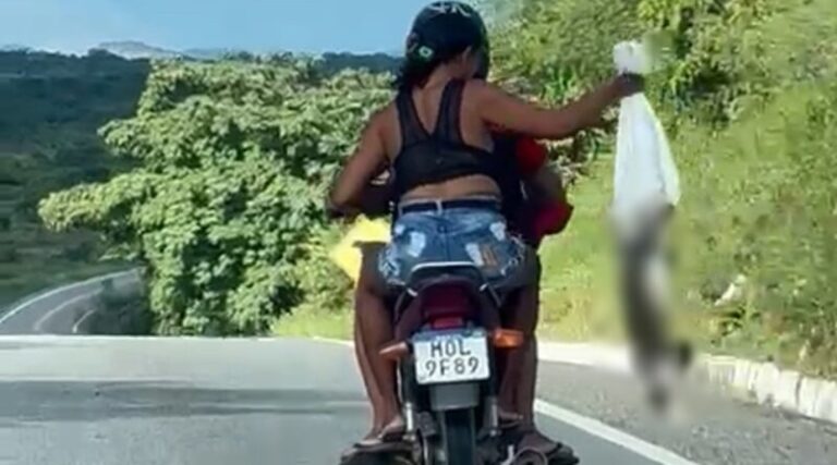 Polícia abre inquérito contra casal que largou animais entre Olho D Água e Piancó