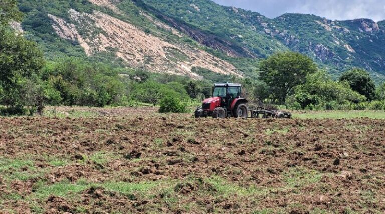 Prefeitura de Catingueira disponibiliza 9 tratores, intensifica corte de terra e beneficia agricultores do município