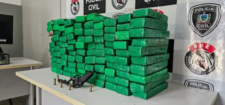 Polícia Civil apreende 100 tabletes de maconha, armas e prende homem