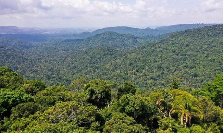 União Europeia fará doação de R$ 120 milhões ao Fundo Amazônia