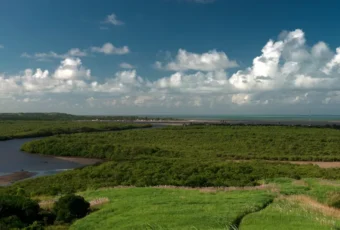 MPF ajuíza ação para garantir proteção de reserva extrativista entre PE e Paraíba