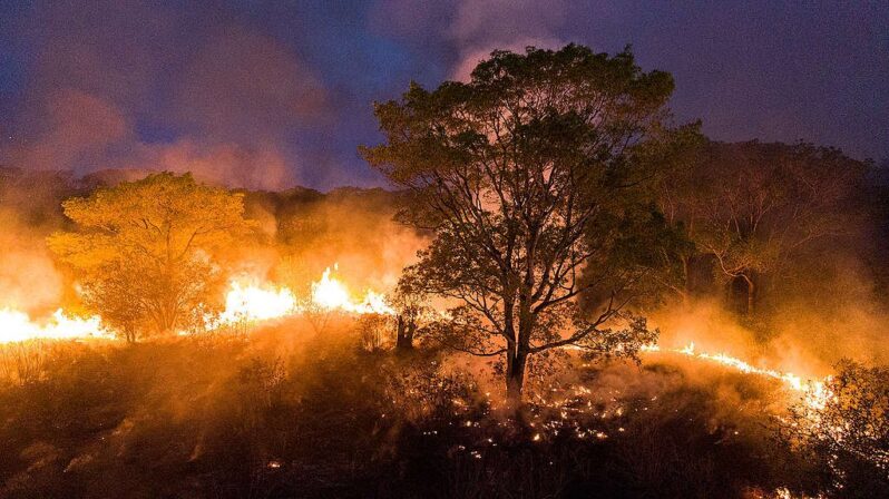 Brasil reduz em 12% emissões de gases do efeito estufa em 2023