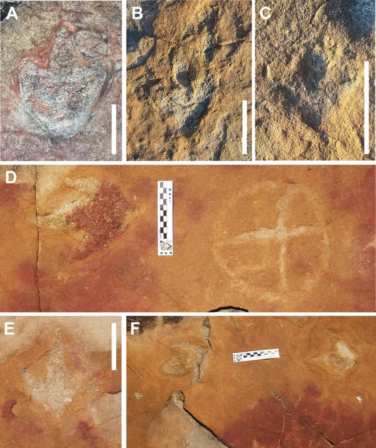 Descoberta sobre povos originários e pegadas de dinossauros no sertão da PB é uma das mais importantes do ano