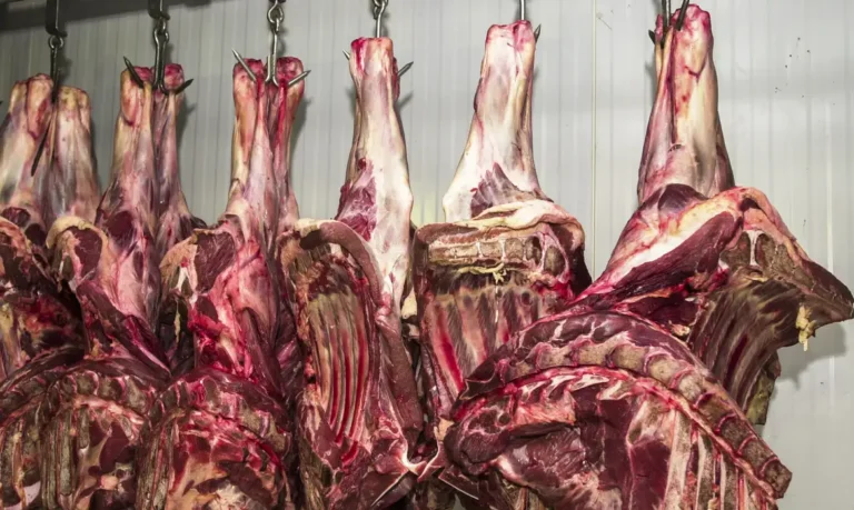 Pesquisa registra variação no preço da carne de até 231,96% e diferença na fraldinha chega a R$ 57,99