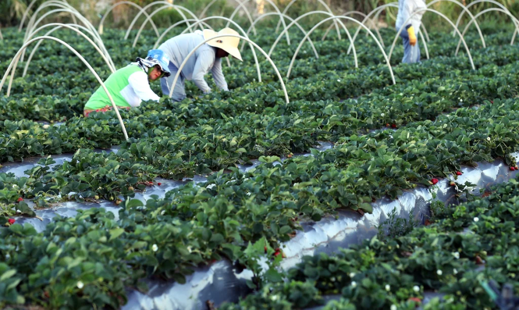 Câmara aprova ampliação de desconto na conta de luz para agricultura familiar