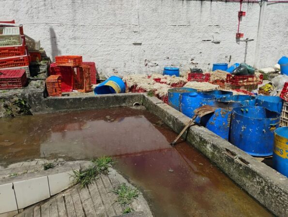 Operação embarga abatedouro que despejava esgoto no Rio Cabelo