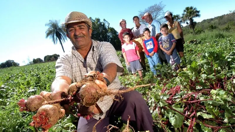 Plano Safra: agricultura familiar terá R$ 89 bilhões com juros entre 2% e 8%