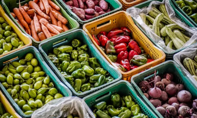 Estudo mostra que 18 alimentos ficaram mais caros devido às mudanças climáticas