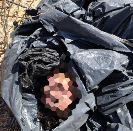 Jovem natural de Conceição é assassinado e tem mãos e pés cortados