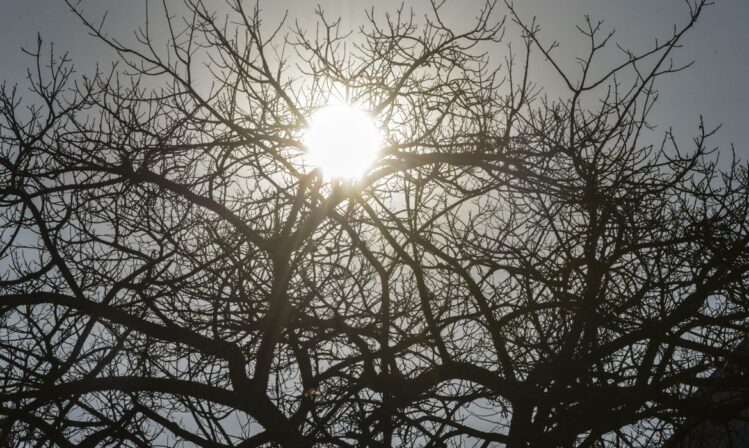 Meteorologia alerta por baixa umidade em dez cidades do Vale do Piancó, veja cidades