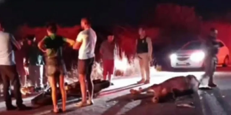 Casal morre após moto colidir com vaca solta na pista em Coremas