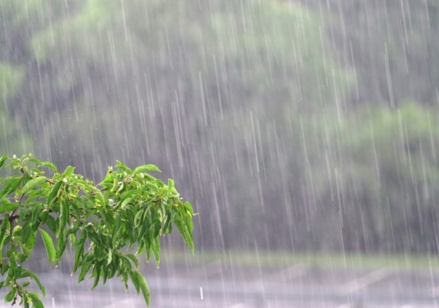 Conceição é banhada pela primeira chuva do ano de 2026