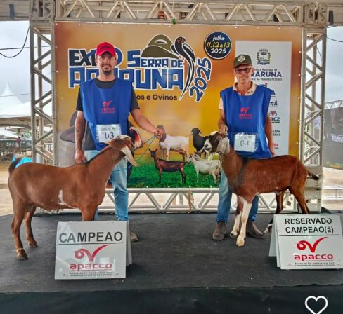 Expo Serra Araruna fortalece agronegócio e amplia economia no curimataú da Paraíba