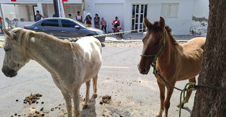 Idoso de 64 anos morre após arrastado por cavalo em São José de Piranhas
