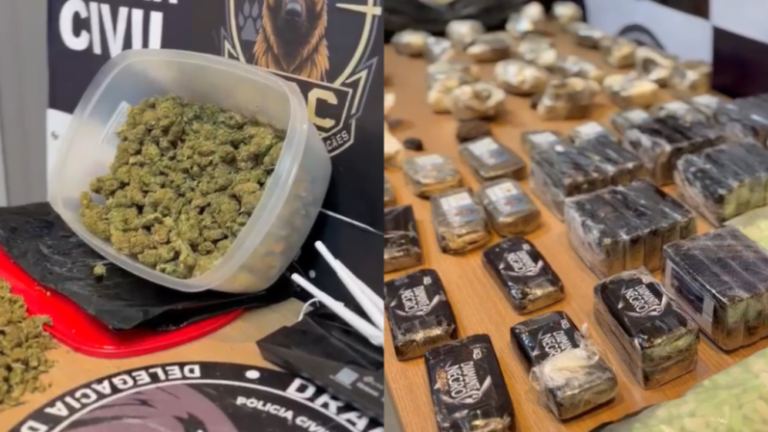 Casal é preso com drogas avaliadas em R$ 1 milhão de reais