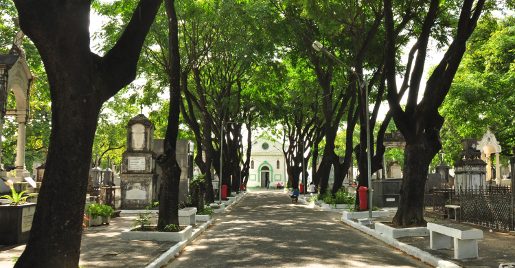 Corpo é desenterrado, carbonizado e tem cabeça arrancada