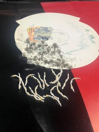 Polícia Militar apreende drogas e prende suspeito de tráfico no Vale do Piancó