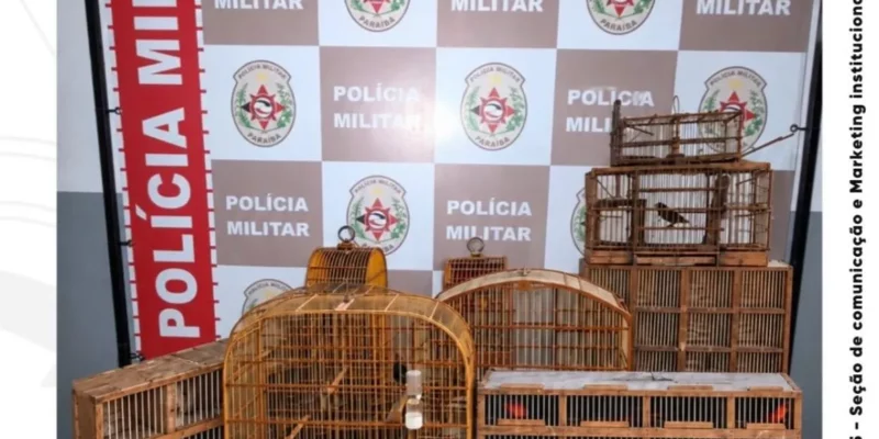 Polícia Militar apreende aves silvestres e conduz suspeito por crime ambiental