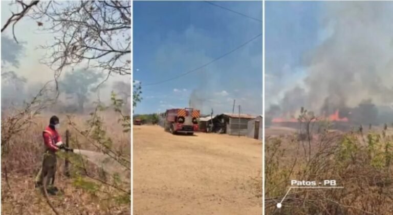 Bombeiros combatem incêndio florestal nas imediações da Cruz da Menina