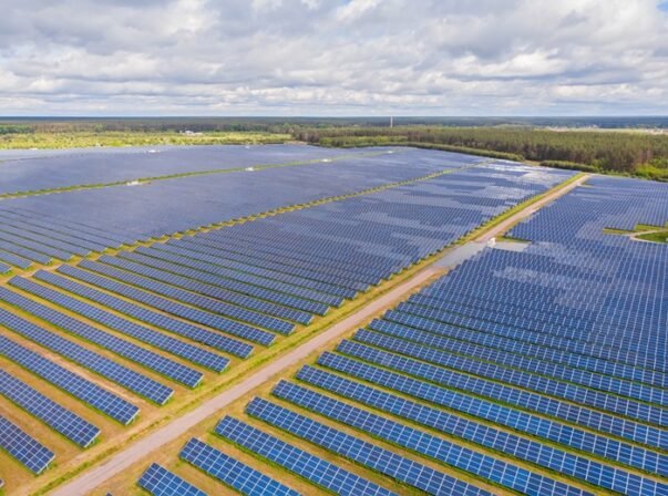 Furtos de cabos em usinas solares acendem alerta no setor de energias renováveis na PB