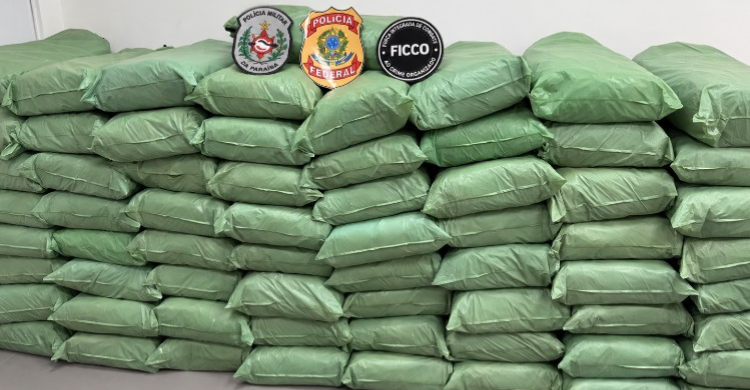 Homem é preso e mais de meia tonelada de maconha é apreendida em ação da PF